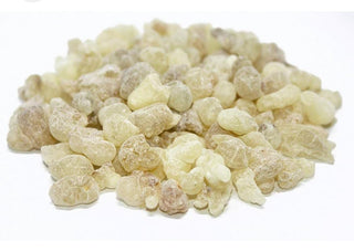 Hojari Frankincense Number One Omani